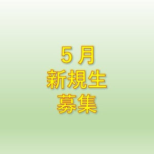 ５月の募集人数（5/1更新)